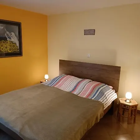 Apartma Sobe Tina Guest house
